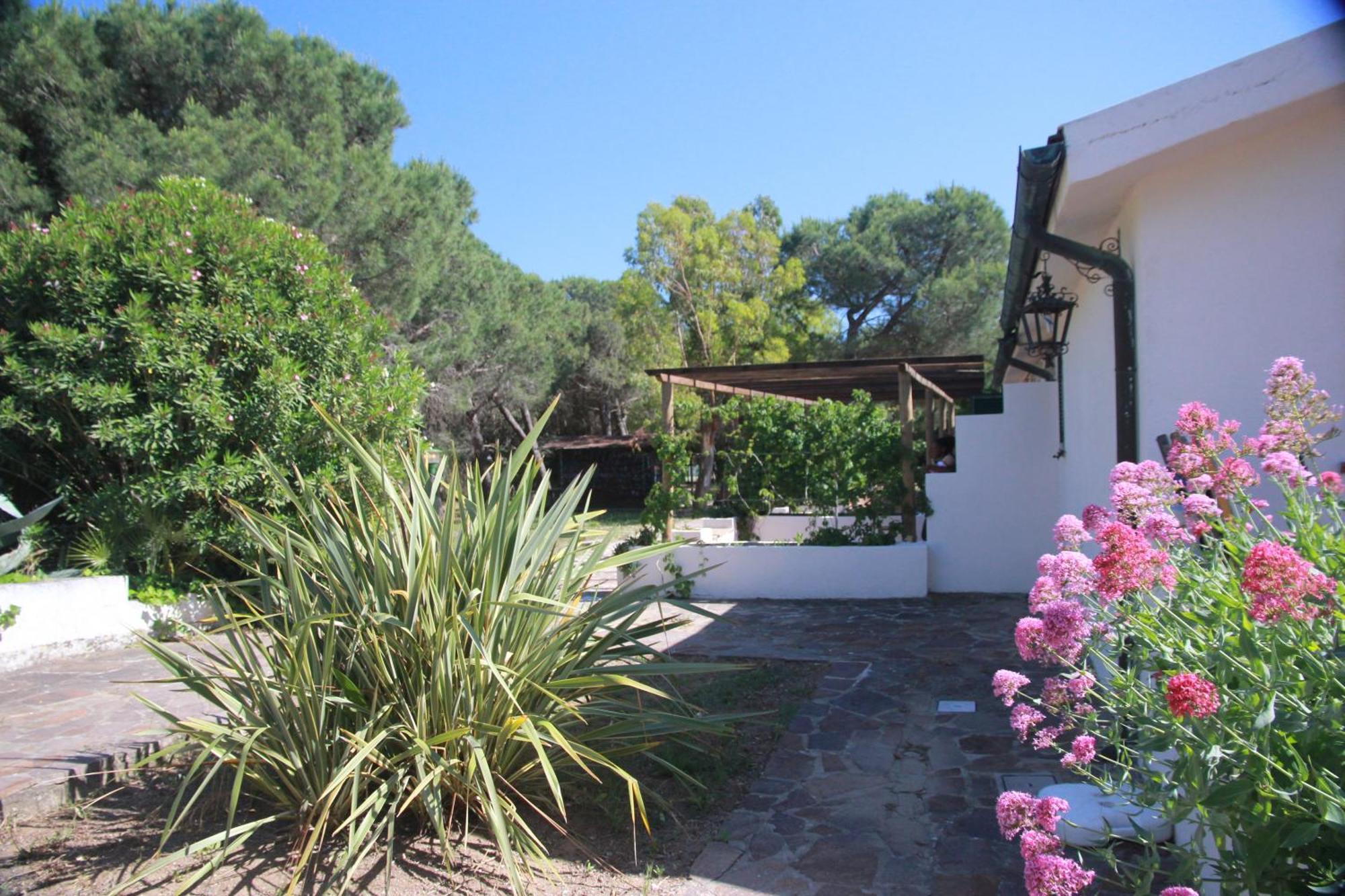 Azienda Agricola Sapereta Porto Azzurro Exterior photo